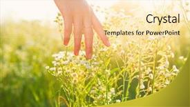  Presentation with skin health - Audience pleasing slides consisting of hand running through meadow field backdrop and a lemonade colored foreground