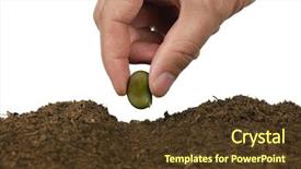  Presentation with seed - Slides featuring hand sowing seed into soil background and a tawny brown colored foreground