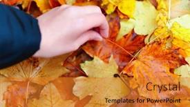  Presentation with autumn view autumn nature - Theme featuring hand-takes-an-autumn-leaf background and a gold colored foreground