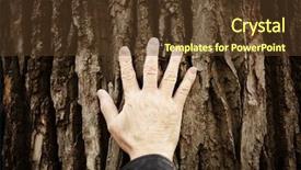 Presentation with love of nature - Presentation theme consisting of hand tree - touch the nature background and a  colored foreground