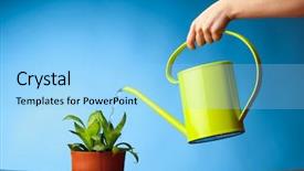  Presentation with plant - Beautiful presentation theme featuring hand watering a plant backdrop and a light blue colored foreground