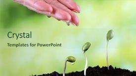  Presentation with green - Amazing presentation design having hand watering green bean seedlings backdrop and a mint green colored foreground