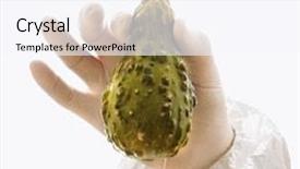  Presentation with rubber - Slide set with hand wearing white rubber glove holding green textured gourd background and a sky blue colored foreground