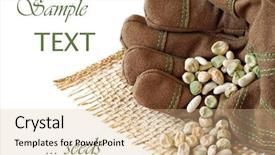  Presentation with vegetable seed - Audience pleasing presentation theme consisting of hand with assorted vegetable seed backdrop and a  colored foreground