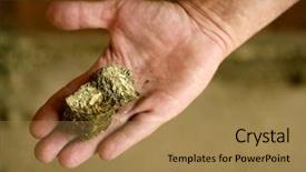  Presentation with horse food - Audience pleasing presentation theme consisting of hand with dry alfalfa horse backdrop and a  colored foreground