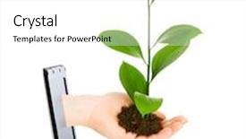  Presentation with green screen - PPT theme with hand with green leaves background and a white colored foreground