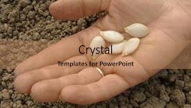  Presentation with vegetable seed - Amazing slides having hand with pumpkin seeds backdrop and a  colored foreground