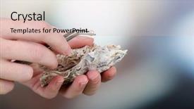  Presentation with pearl oyster - Audience pleasing slides consisting of tweezers holding pearl and oyster backdrop and a lemonade colored foreground