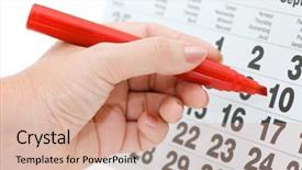  Presentation with date palmtree - Theme enhanced with hand writing important date isolated background and a coral colored foreground