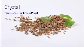  Presentation with seeds - Colorful PPT theme enhanced with handful-of-caraway-seeds backdrop and a sky blue colored foreground