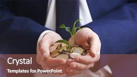  Presentation with honey bee closeup view - Presentation theme having handful of coins with growing background and a coral colored foreground