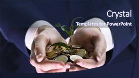  Presentation with honey bee closeup view - Amazing PPT layouts having handful of coins with growing backdrop and a  colored foreground