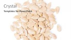  Presentation with pumpkin seeds - Colorful slide set enhanced with handful-of-pumpkin-seeds backdrop and a pink colored foreground