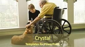  Presentation with therapy dog - Colorful presentation enhanced with handicap people - therapy dog is pet backdrop and a tawny brown colored foreground