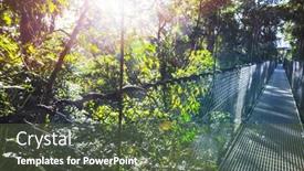  Presentation with central america - Presentation theme enhanced with handing bridge in green jungle costa rica central america background and a tawny brown colored foreground