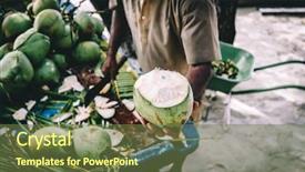  Presentation with green coconut - Beautiful PPT layouts featuring fruity diet traditional local agriculture backdrop and a light gray colored foreground