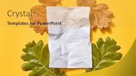  Presentation with leaves flat lay - PPT layouts enhanced with handmade-autumn-composition-from-oak background and a yellow colored foreground