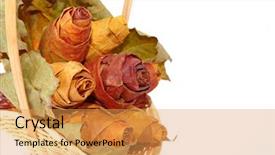  Presentation with isolated fall oak leaf - Slide deck featuring handmade bucket from maple leafs background and a yellow colored foreground