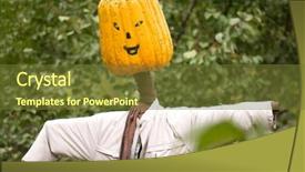  Presentation with sunflower - Presentation with handmade male scarecrow in field background and a  colored foreground