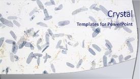  Presentation with paper - Amazing theme having handmade mulberry paper with leaves backdrop and a sky blue colored foreground