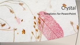  Presentation with close up view of the compass on old paper - PPT layouts featuring handmade mulberry paper with leaves background and a white colored foreground