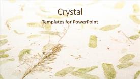  Presentation with leaves - Slide deck featuring handmade mulberry paper with leaves background and a cream colored foreground