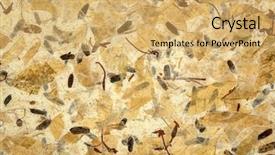  Presentation with inclusion - Colorful slides enhanced with handmade mulberry paper with leaves backdrop and a yellow colored foreground