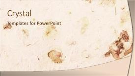  Presentation with plants - Amazing presentation theme having handmade paper with chunks backdrop and a cream colored foreground