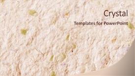  Presentation with plants - Amazing presentation having handmade paper with chunks backdrop and a lemonade colored foreground