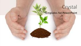  Presentation with plant - Theme with hands-and-plant-isolated background and a coral colored foreground