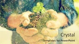  Presentation with plant ecology - Slides featuring hands for ecology and agriculture background and a yellow colored foreground