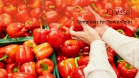  Presentation with pepper - Presentation theme having hands-hold-a-red-pepper background and a red colored foreground