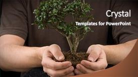  Presentation with bonsai - Slide deck consisting of hands holding a bonsai tree image vignetted background and a wine colored foreground