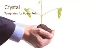  Presentation with growing tree - Theme with hands holding a pile of soil with a tree growing from it background and a cream colored foreground