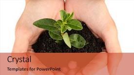  Presentation with seed growing - Presentation design with hands holding a plant growing background and a red colored foreground
