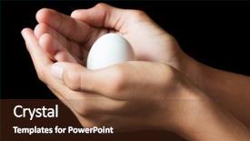  Presentation with masculine - Audience pleasing PPT theme consisting of hands holding a raw egg backdrop and a  colored foreground