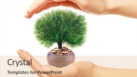  Presentation with growing tree - Amazing slide set having hands holding a tree growing backdrop and a coral colored foreground