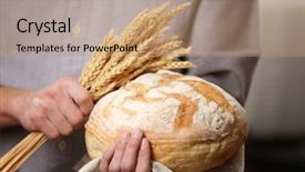  Presentation with ears - Amazing theme having hands holding freshly baked wheat backdrop and a coral colored foreground
