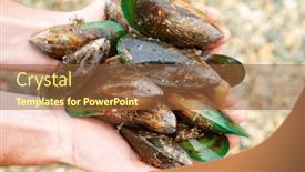  Presentation with hands holding - Slide set consisting of hands-holding-freshly-harvested-delishious background and a tawny brown colored foreground