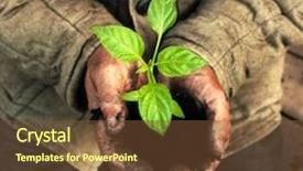  Presentation with couples holding hands - PPT theme consisting of hands holding green sapling background and a tawny brown colored foreground