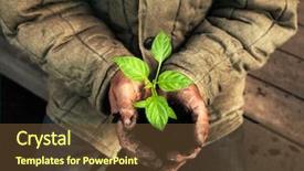  Presentation with hand holding flowers - PPT layouts with hands holding green sapling background and a tawny brown colored foreground