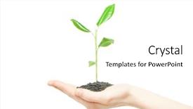  Presentation with hands holding - Amazing PPT layouts having hands holding green small plant backdrop and a white colored foreground