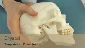  Presentation with skull - Audience pleasing slide deck consisting of hands-holding-model-of-human backdrop and a coral colored foreground