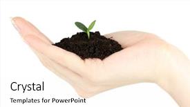  Presentation with seedling - Audience pleasing slide deck consisting of hands holding plant - green seedling growing from soil backdrop and a sky blue colored foreground