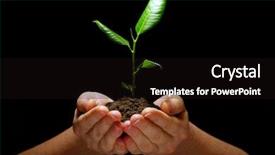  Presentation with hand holding plant - Colorful PPT theme enhanced with hands holding plant in soil backdrop and a wine colored foreground