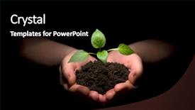  Presentation with hands holding - Theme consisting of hands holding sapling in soil background and a black colored foreground