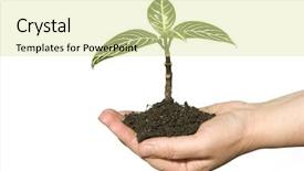  Presentation with holding hands - Cool new presentation design with hands-holding-sapling-in-soil backdrop and a blonde colored foreground