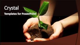  Presentation with hands holding - Beautiful presentation design featuring hands holding sapling in soil backdrop and a  colored foreground