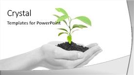  Presentation with holding hands - Colorful slide deck enhanced with hands holding sapling in soil backdrop and a  colored foreground