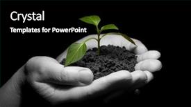 Presentation with hands holding a tree - Slide deck consisting of hands holding sapling in soil background and a black colored foreground